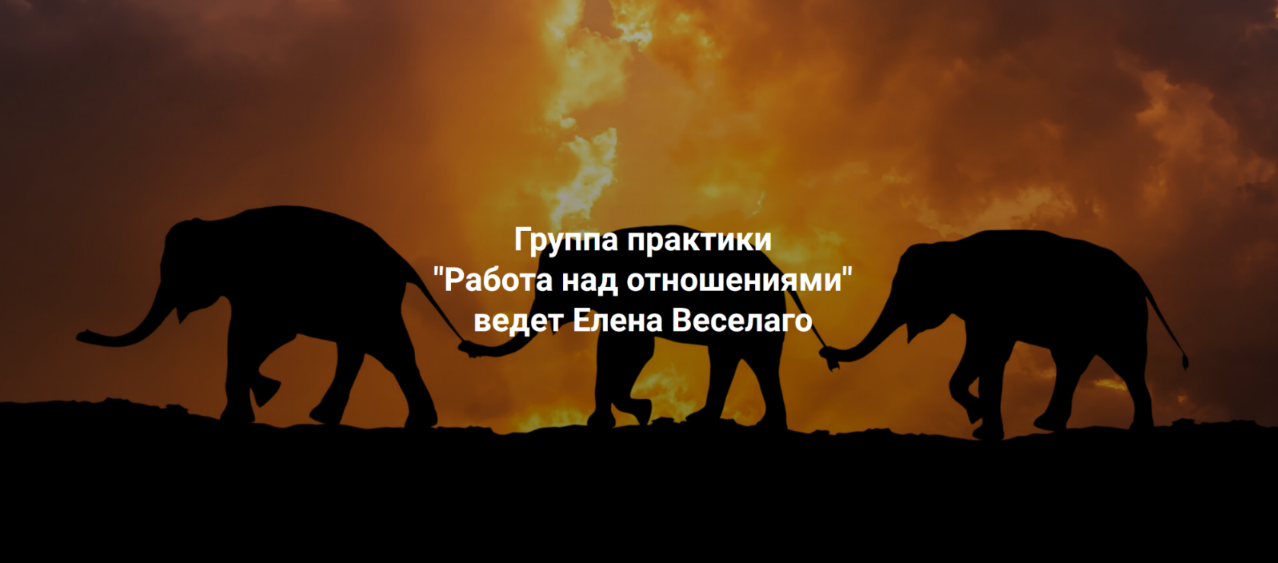 [Елена Веселаго] [Институт Открытого поля] Работа _0.png